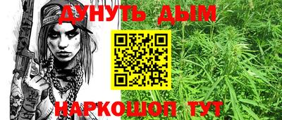 индика Славгород