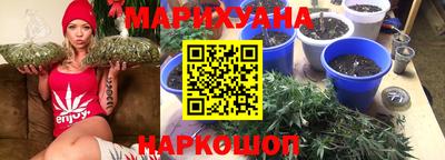 индика Славгород