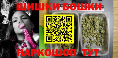 индика Славгород