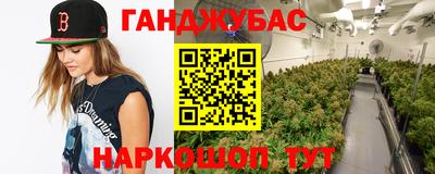 мдпв Сланцы