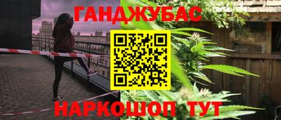 индика Славгород