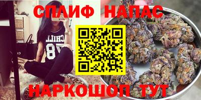 индика Славгород