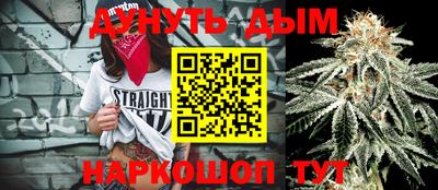 индика Славгород