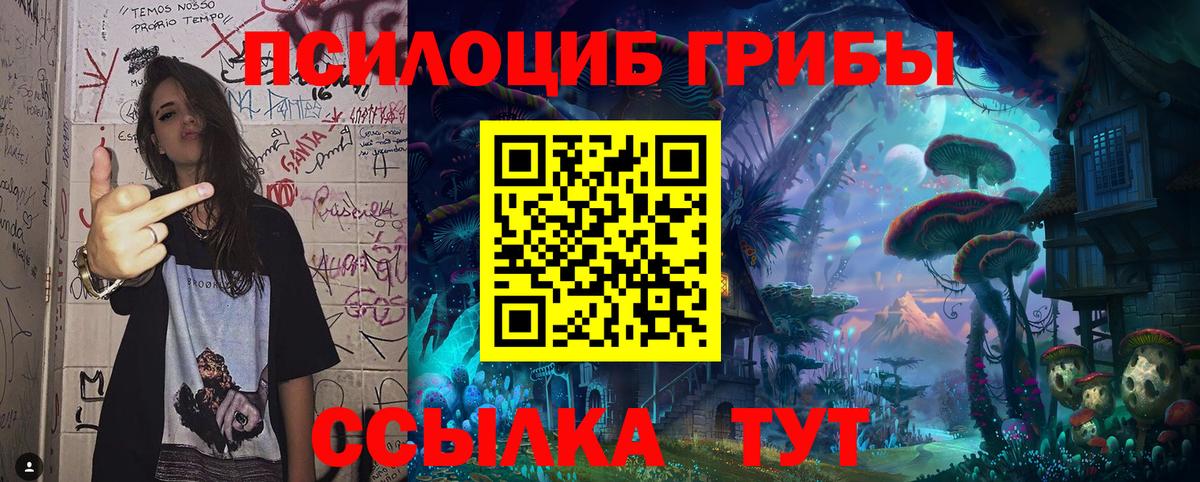 Галлюциногенные грибы GOLDEN TEACHER Орск