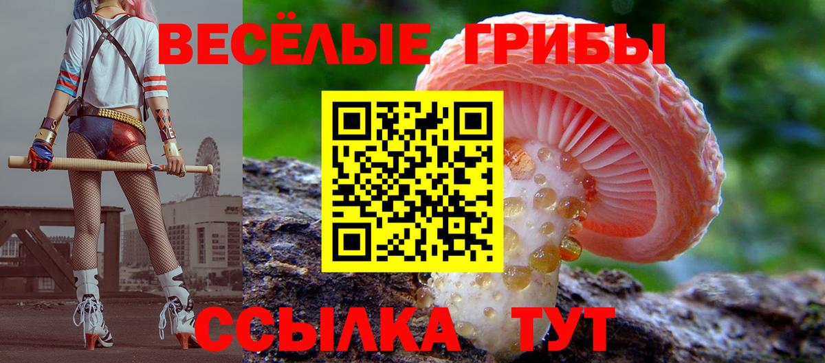 Орск  Псилоцибиновые грибы Psilocybine cubensis  Вход с VPN 